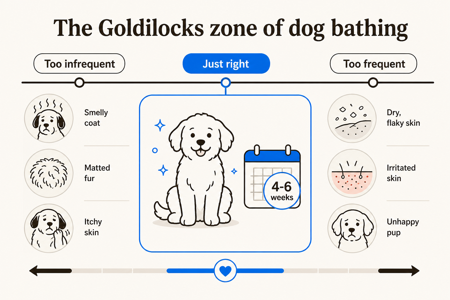 Bathing frequency by dog coat type - from short coat to hairless, with recommended intervals for each