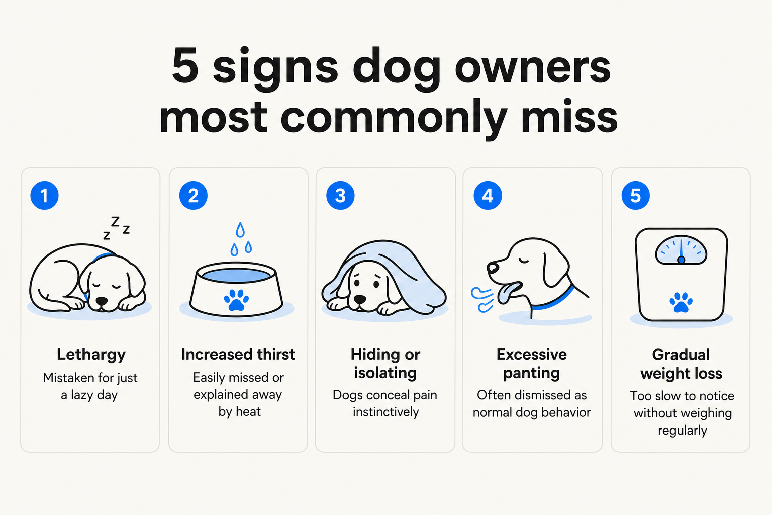 5 signs dog owners most commonly miss - lethargy, increased thirst, hiding, excessive panting, gradual weight loss