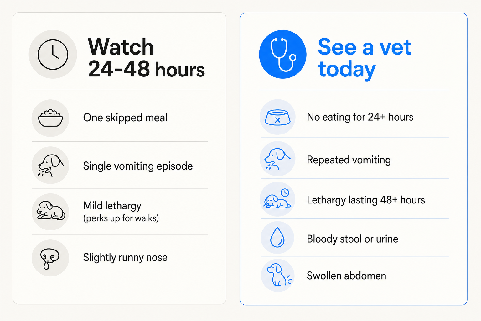 Watch and wait vs. go to the vet - a clear decision guide for dog health symptoms