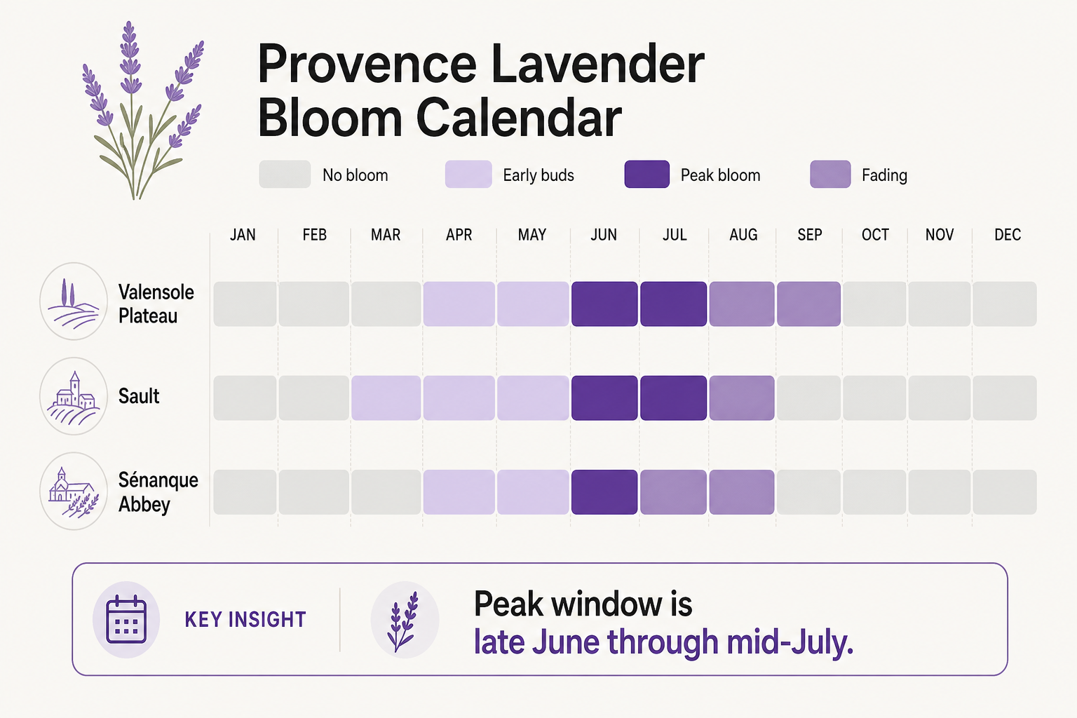 Lavender bloom timing by location - Valensole, Sault, and Sénanque compared month by month