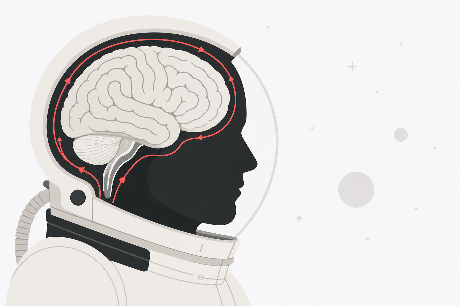 Flat editorial illustration of an astronaut helmet in cross-section with a simplified brain visible inside, surrounded by fluid flow lines in red